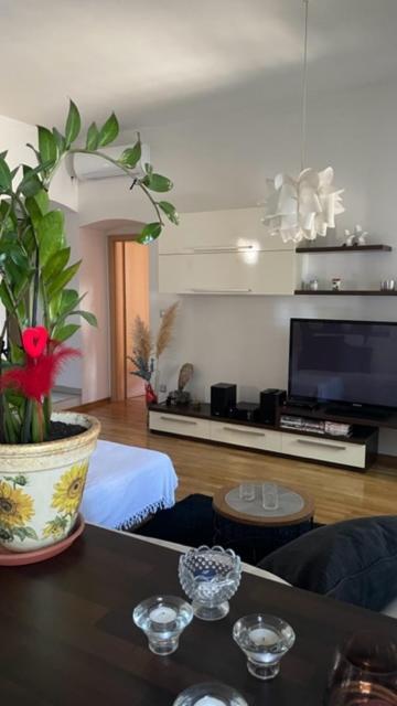 Apartment Marina リエカ エクステリア 写真